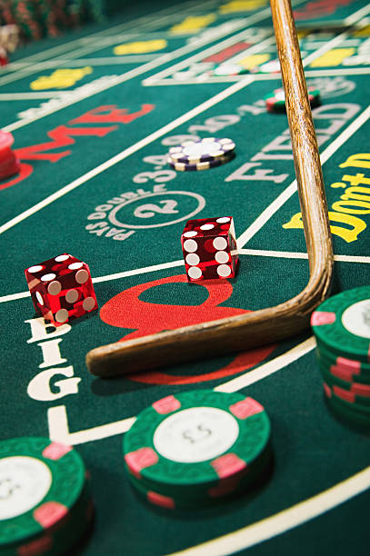 Live blackjack table on register togelup with dealer and multi-camera view